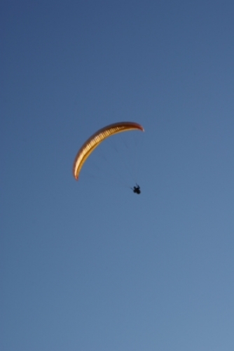 paracourfaivre01