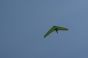 deltaplane-slowup0976