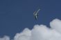 deltaplane-slowup0981