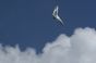 deltaplane-slowup0982